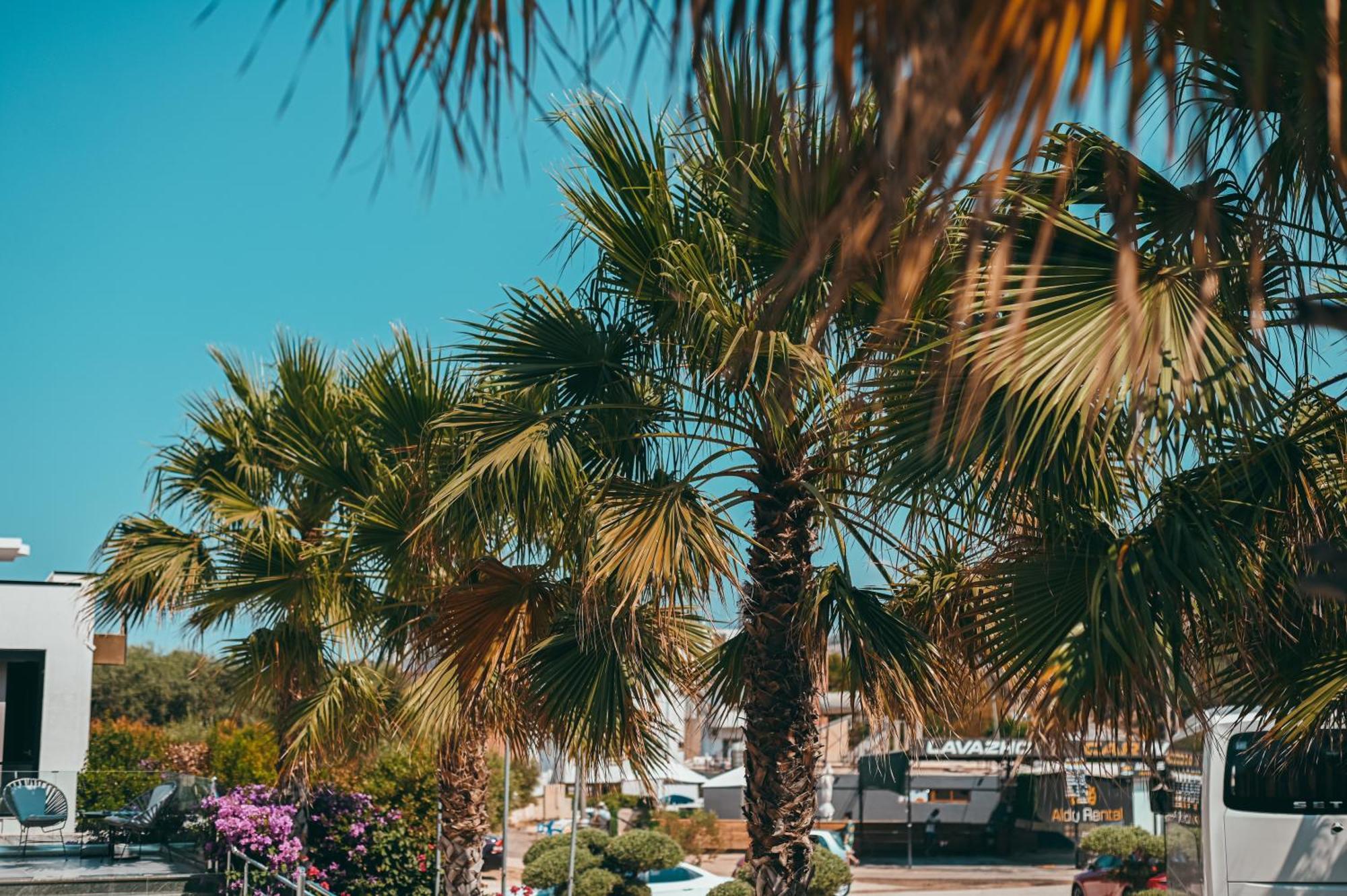 Bianco Hotel كساميل المظهر الخارجي الصورة